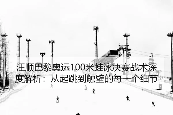 汪顺巴黎奥运100米蛙泳决赛战术深度解析：从起跳到触壁的每一个细节