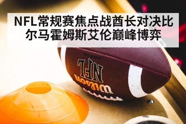 NFL常规赛焦点战酋长对决比尔马霍姆斯艾伦巅峰博弈